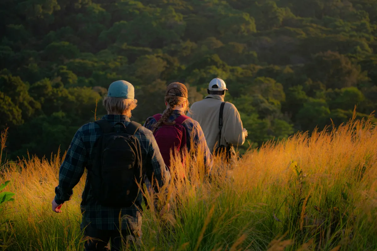 Three researchers walking through tall grass toward a forested reserve at sunrise