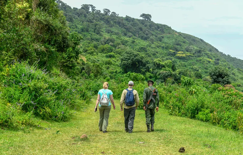 Two researchers walking with a reserve ranger along a path toward a forested hill